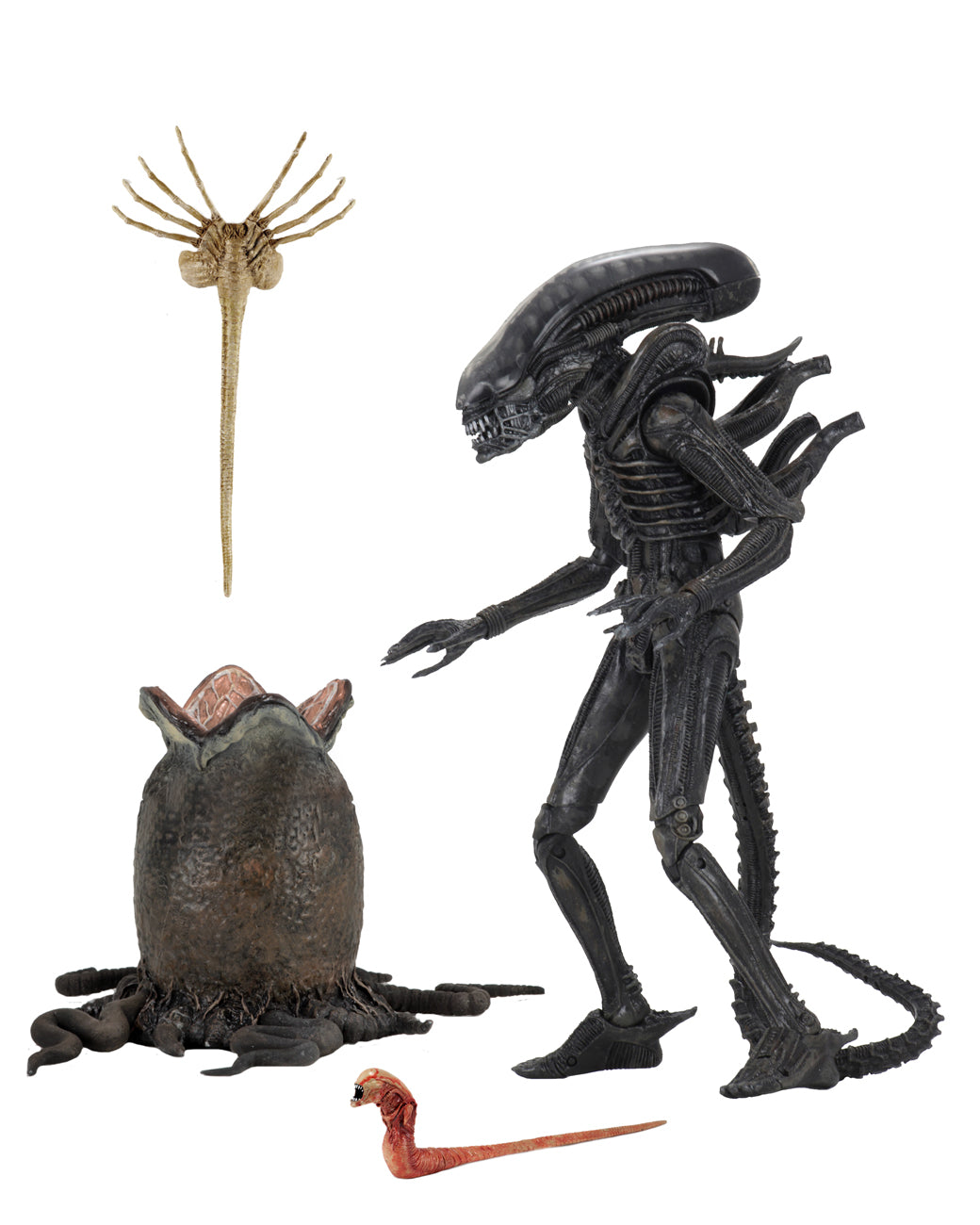 Alien Big Chap 40th Anniversary Edition Poseable Figure From Alien