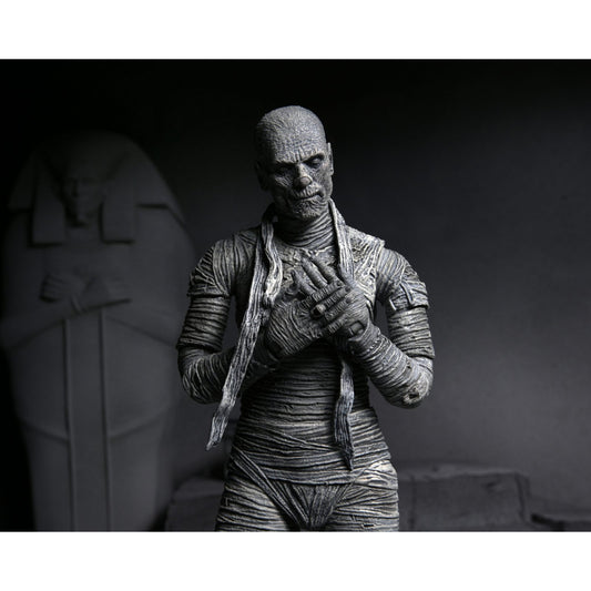 The Ultimate Mummy Figure From The Mummy in Grey